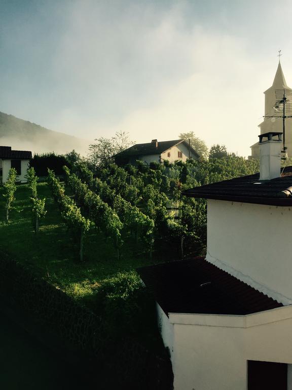 Maison Bidegain Berria Ispoure Bagian luar foto